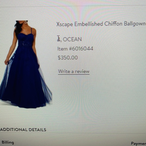 Xscape Chiffon Ballgown - Picture 12 of 12